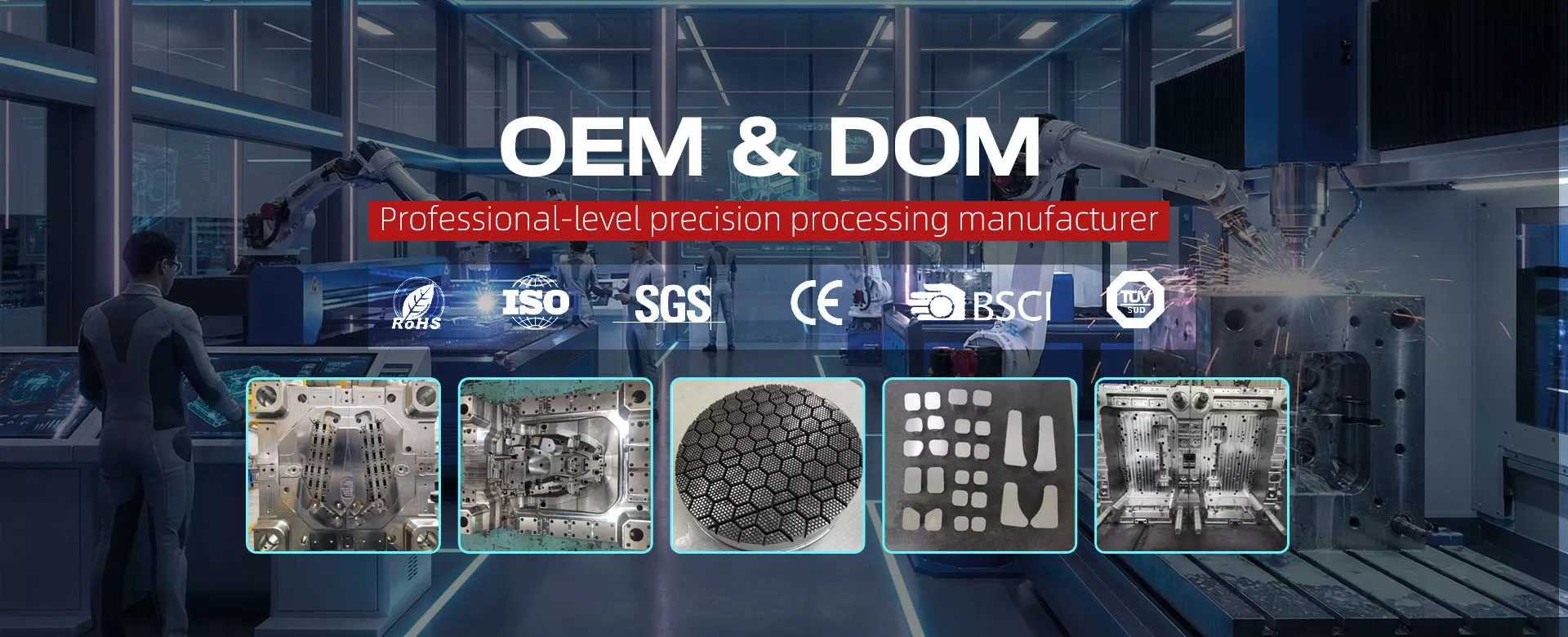 Errendimendu handiko automozio barruko piezen injekzio-moldeen fabrikatzailea